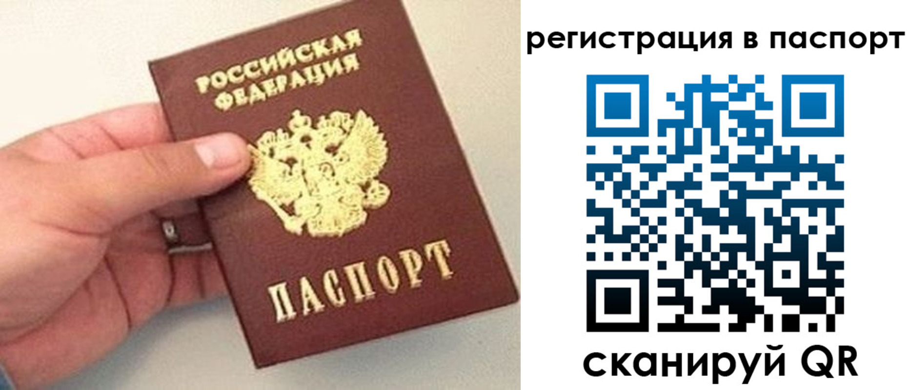 прописка законно в Долгопрудном